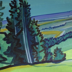 Christoph Leuthold Landschaft, Bilder, Gemälde, Malerei in Acryl und Aquarell: St. Galler Oberland Fichten und Chäserrugg II, Sellamatt, 2014
Acryl auf Karton
100 x 70 cm