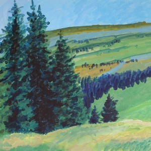 Christoph Leuthold Landschaft, Bilder, Gemälde, Malerei in Acryl und Aquarell: St. Galler Oberland Fichten und Chäserrugg I, Sellamatt, 2014
Acryl auf Karton
100 x 70 cm