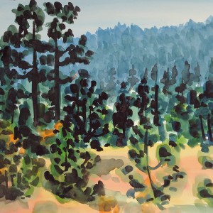 Christoph Leuthold Landschaft, Bilder, Gemälde, Malerei in Acryl und Aquarell: Jura / Obwalden Kiefern, Hochmoor Glaubenberg, 2015
Aquarell auf Papier
64 x 50 cm