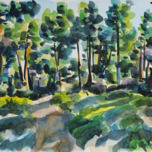 Christoph Leuthold Landschaft, Bilder, Gemälde, Malerei in Acryl und Aquarell: Yttre Bodane, Schweden Kiefern, Yttre Bodane, 2014
Aquarell auf Papier
64 x 50 cm