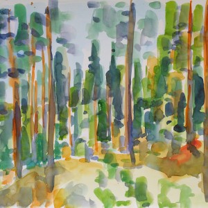 Christoph Leuthold Landschaft, Bilder, Gemälde, Malerei in Acryl und Aquarell: Dalsland, Schweden Lichter Kiefernwald, 2014
Aquarell auf Papier
64 x 50 cm