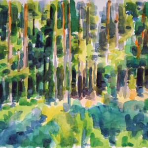 Christoph Leuthold Landschaft, Bilder, Gemälde, Malerei in Acryl und Aquarell: Dalsland, Schweden Kiefernwald, 2014
Aquarell auf Papier
64 x 50 cm