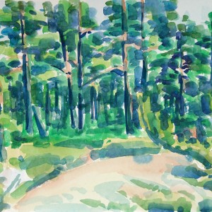 Christoph Leuthold Landschaft, Bilder, Gemälde, Malerei in Acryl und Aquarell: Yttre Bodane, Schweden Kiefernwald, Yttre Bodane, 2014
Aquarell auf Papier
64 x 50 cm