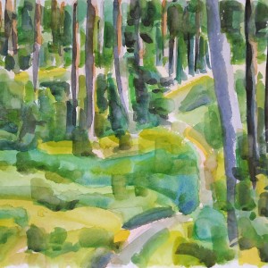 Christoph Leuthold Landschaft, Bilder, Gemälde, Malerei in Acryl und Aquarell: Yttre Bodane, Schweden Grüner Wald I, Yttre Bodane, 2014
Aquarell auf Papier
64 x 50 cm