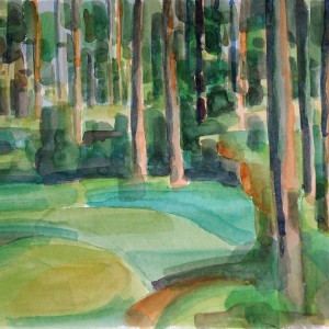 Christoph Leuthold Landschaft, Bilder, Gemälde, Malerei in Acryl und Aquarell: Yttre Bodane, Schweden Grüner Wald II, Yttre Bodane, 2014
Aquarell auf Papier
64 x 50 cm