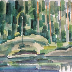 Christoph Leuthold Landschaft, Bilder, Gemälde, Malerei in Acryl und Aquarell: Dalsland, Schweden Tresticklan Nationalpark, 2014
Aquarell auf Papier
64 x 50 cm