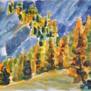 Christoph Leuthold Landschaft, Bilder, Gemälde, Malerei in Acryl und Aquarell: Engadin Lärchenwald, Val Roseg, 2015
Aquarell auf Papier
64 x 50 cm