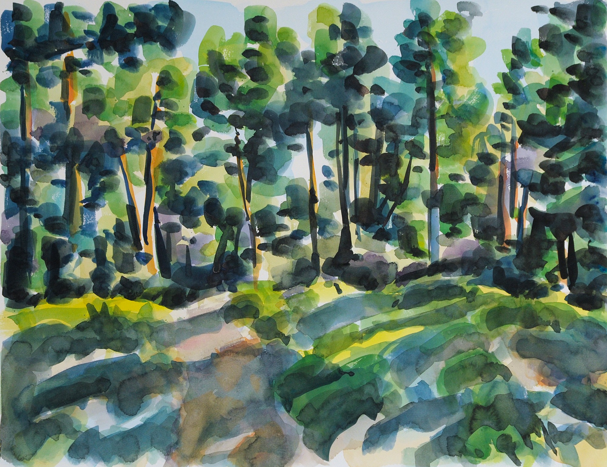 Christoph Leuthold Landschaft, Bilder, Gemälde, Malerei in Acryl und Aquarell: Yttre Bodane, Schweden Kiefern, Yttre Bodane, 2014
Aquarell auf Papier
64 x 50 cm