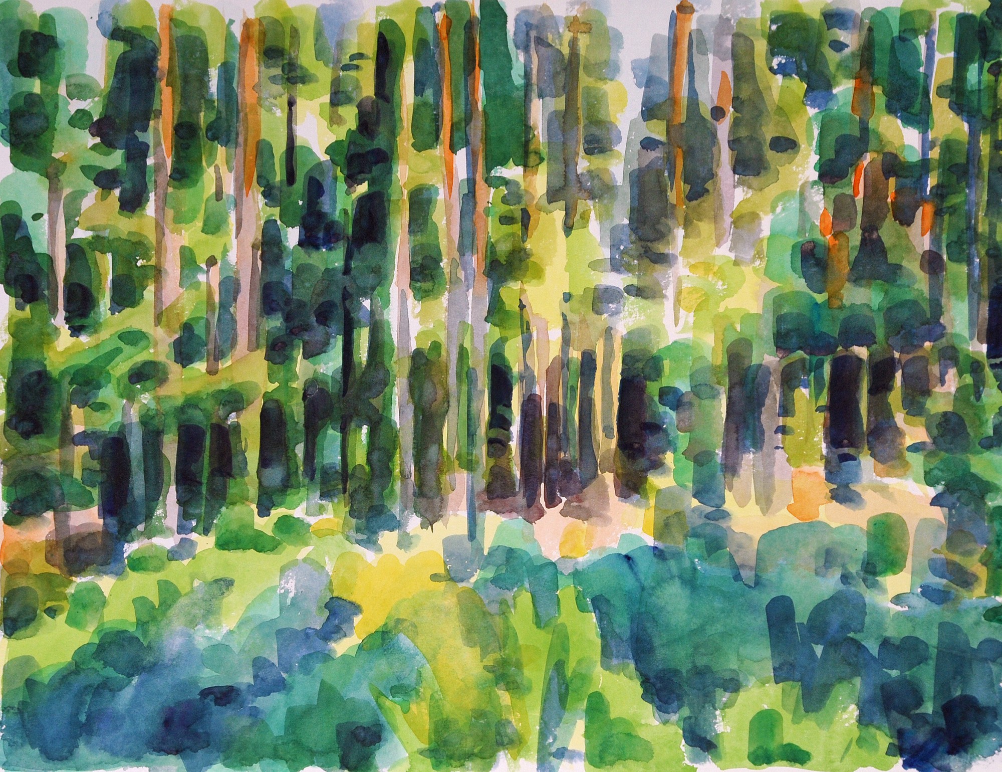 Christoph Leuthold Landschaft, Bilder, Gemälde, Malerei in Acryl und Aquarell: Dalsland, Schweden Kiefernwald, 2014
Aquarell auf Papier
64 x 50 cm