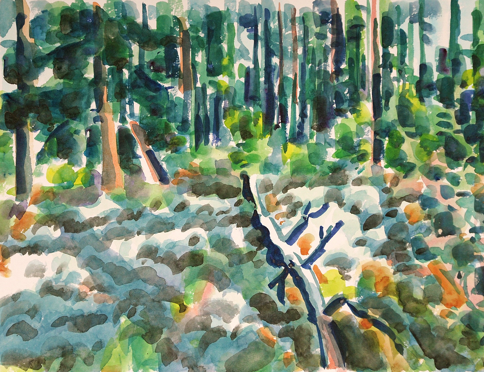 Christoph Leuthold Landschaft, Bilder, Gemälde, Malerei in Acryl und Aquarell: Yttre Bodane, Schweden Kiefernwlad, Yttre Bodane, 2014
Aquarell auf Papier
64 x 50 cm