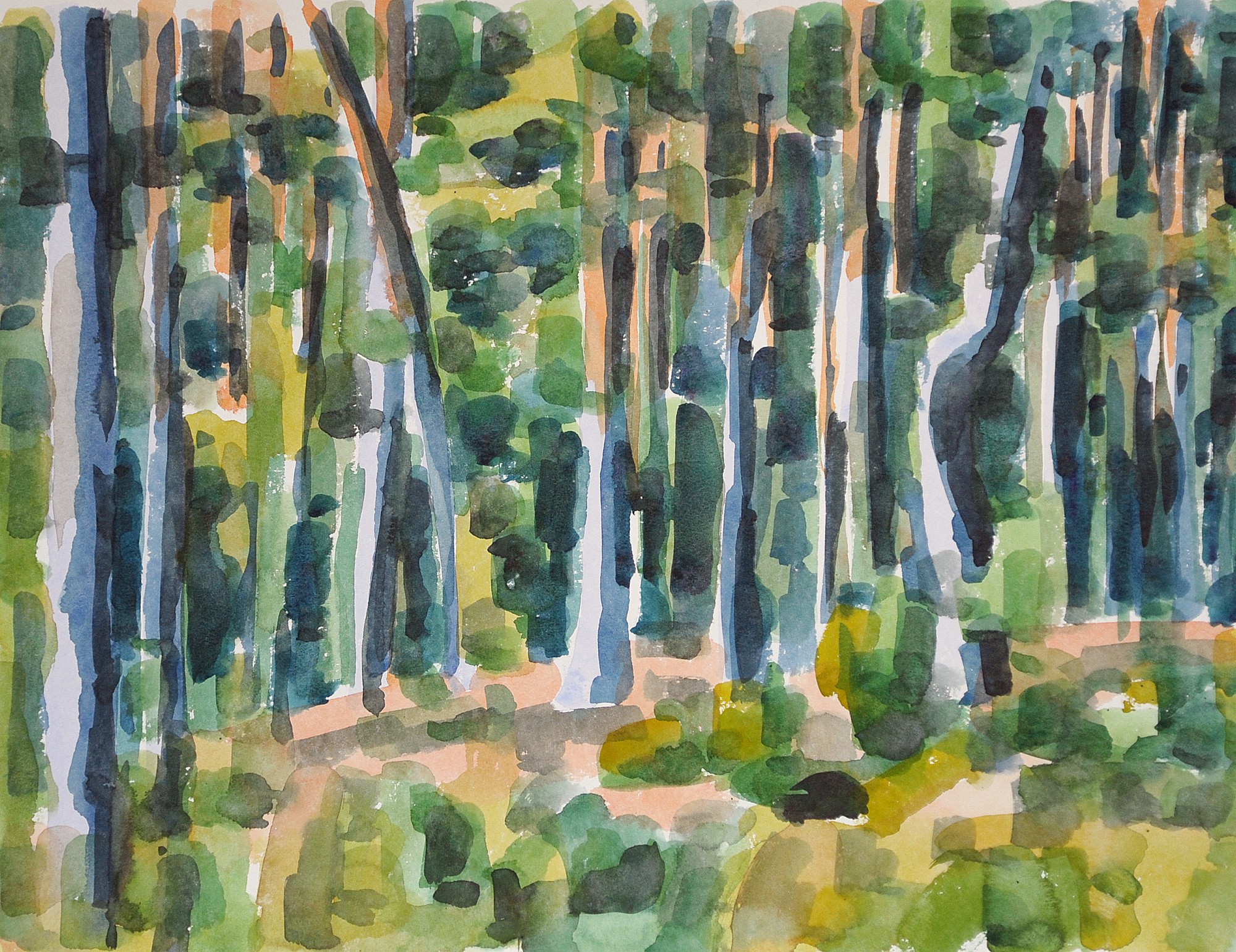 Christoph Leuthold Landschaft, Bilder, Gemälde, Malerei in Acryl und Aquarell: Dalsland, Schweden Kiefern, Tresticklan Nationalpark, 2014
Aquarell auf Papier
64 x 50 cm