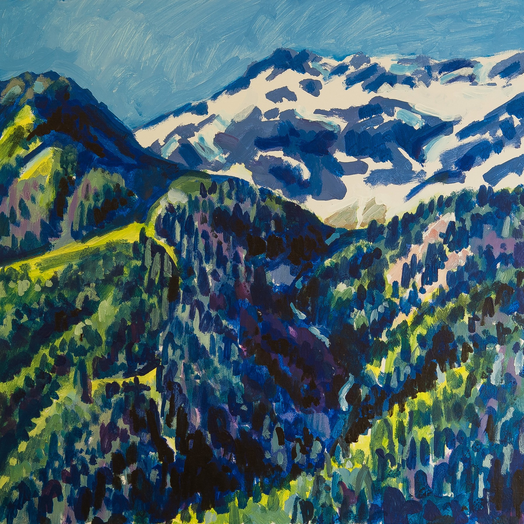 Christoph Leuthold Landschaft, Bilder, Gemälde, Malerei in Acryl und Aquarell: Prättigau Gatschiefer, inner Chinn, 2016
Acryl auf Leinwand auf Karton
60 x 60 cm